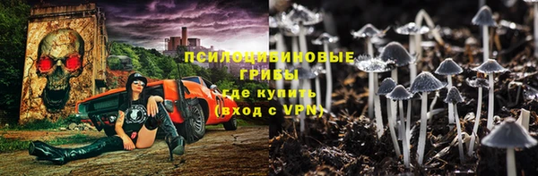 бошки Нея