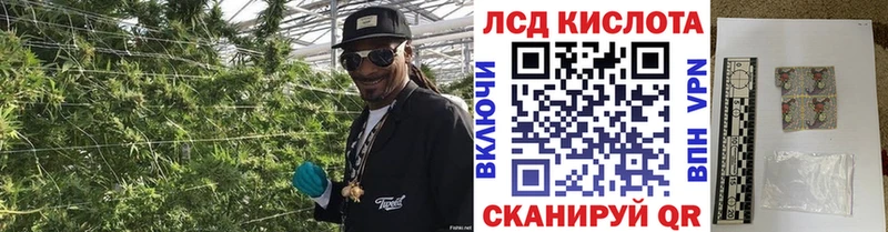 где купить наркотик  Малоархангельск  Наркотические марки 1500мкг 
